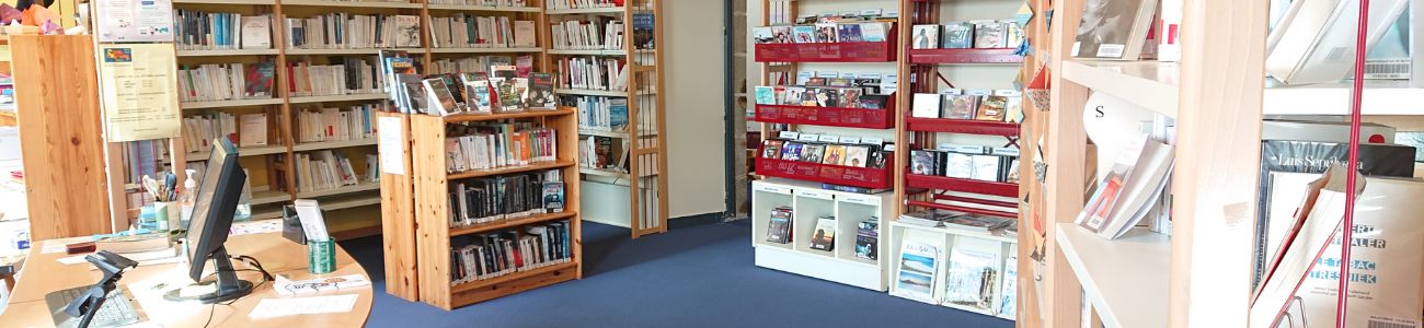 vue accueil bibliothèque iles de Batz