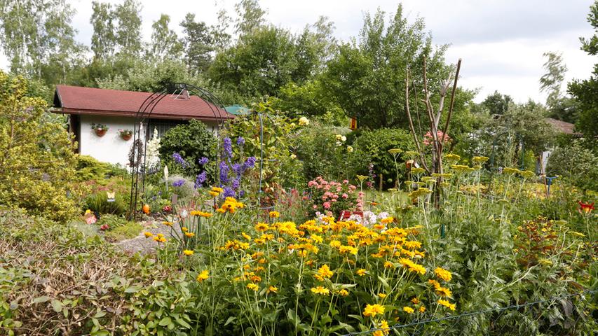 vue d'un jardin partagé et familial