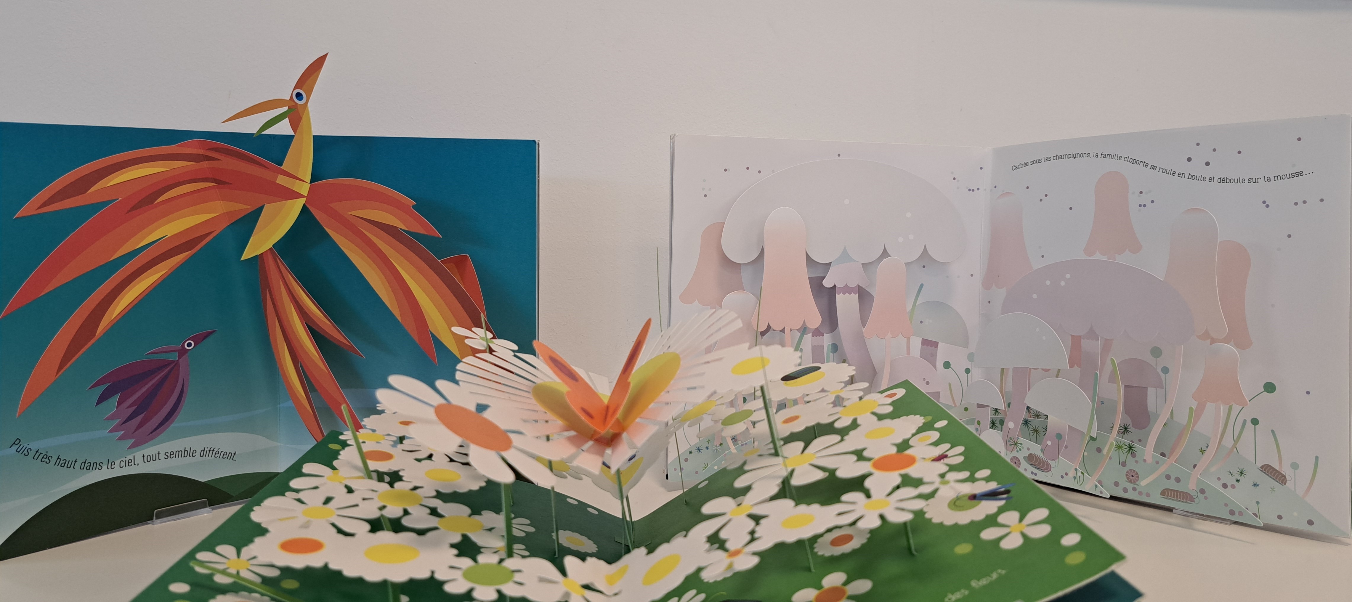  Trois livres pop-up