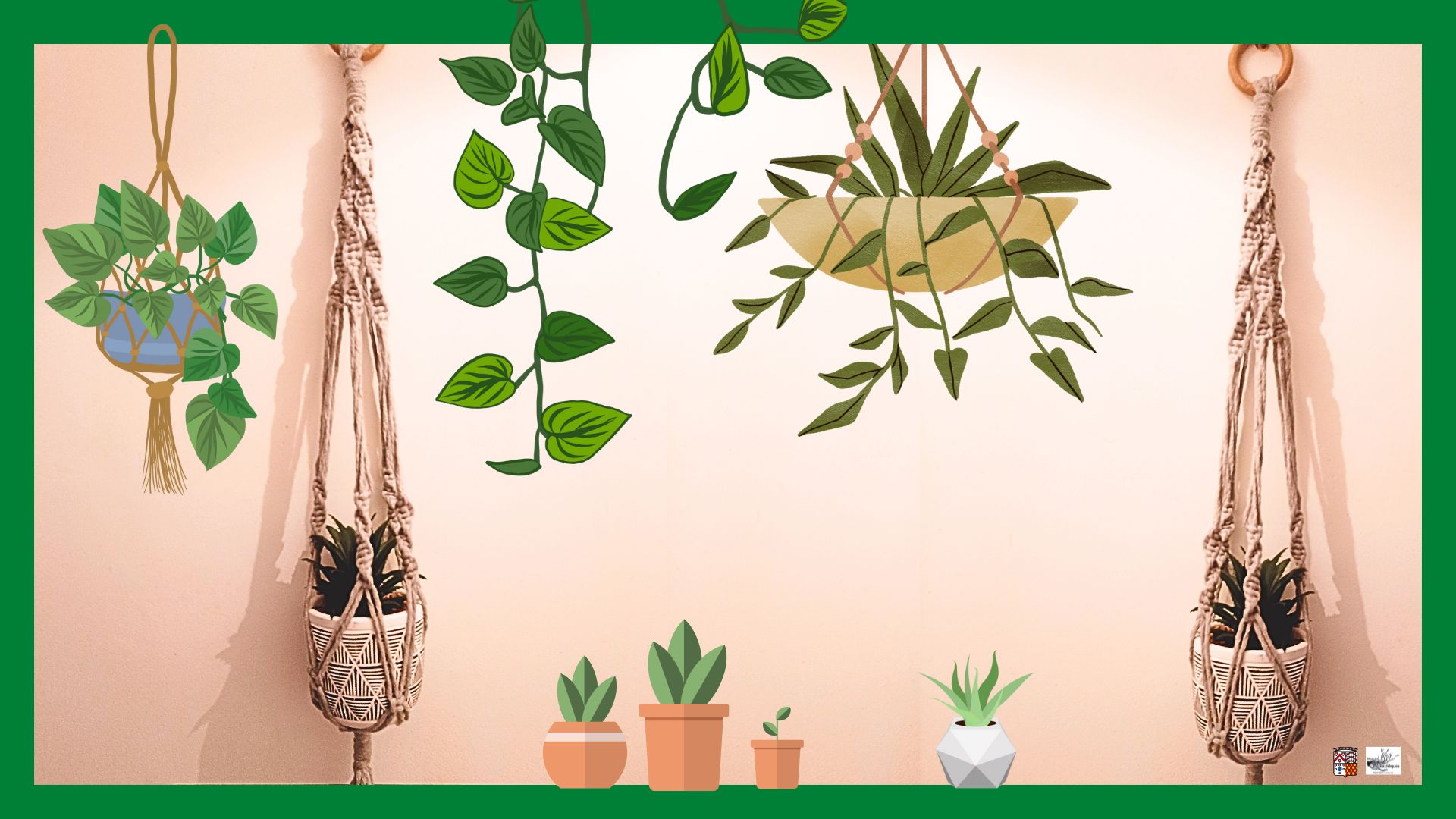suspensions plantes