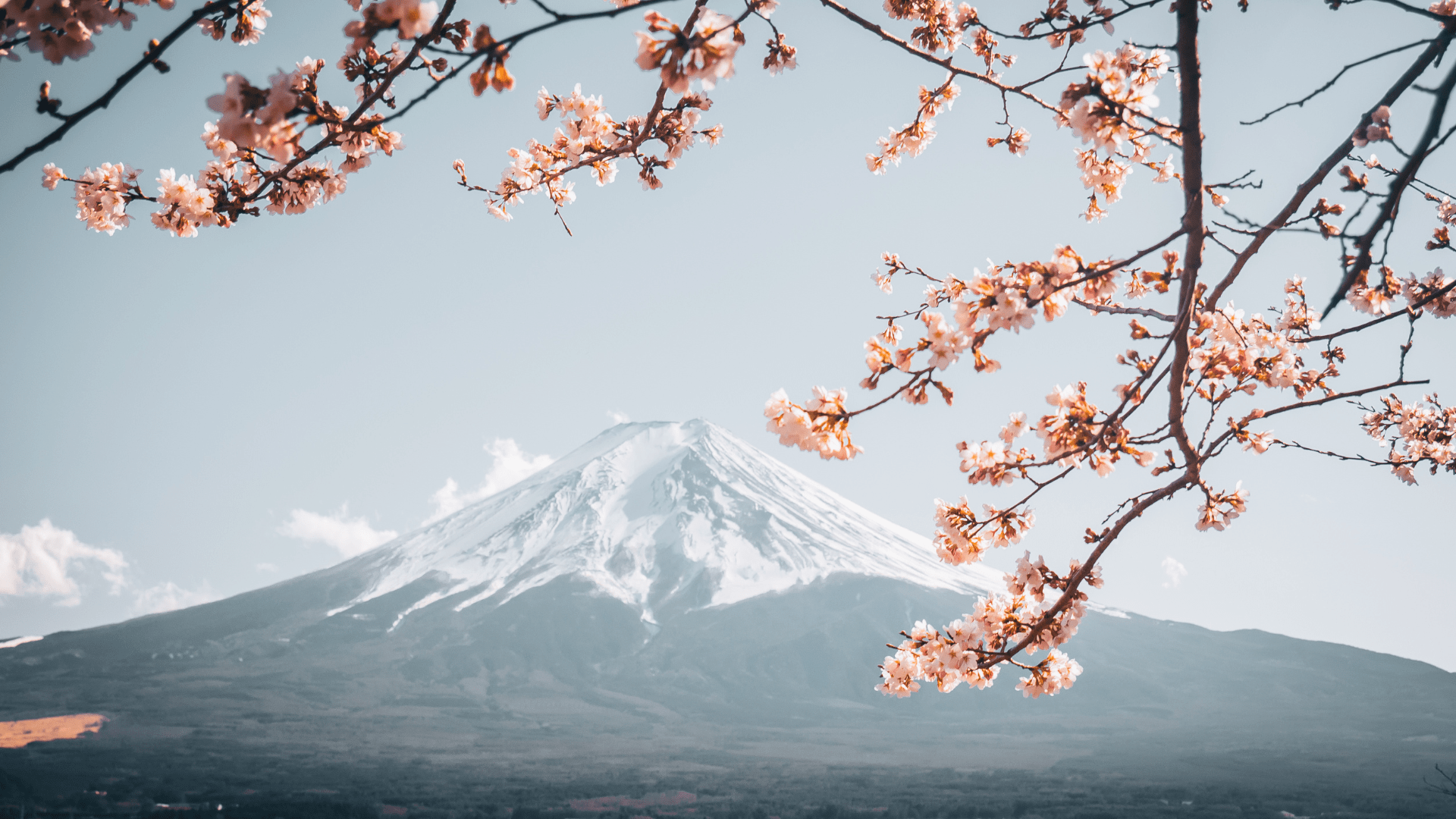 Photo du mont Fuji 
