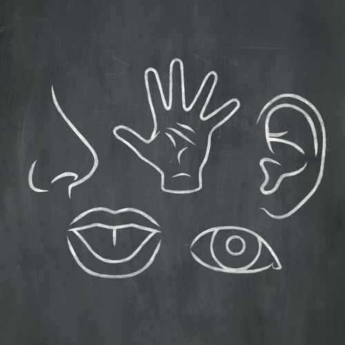 sensoriel