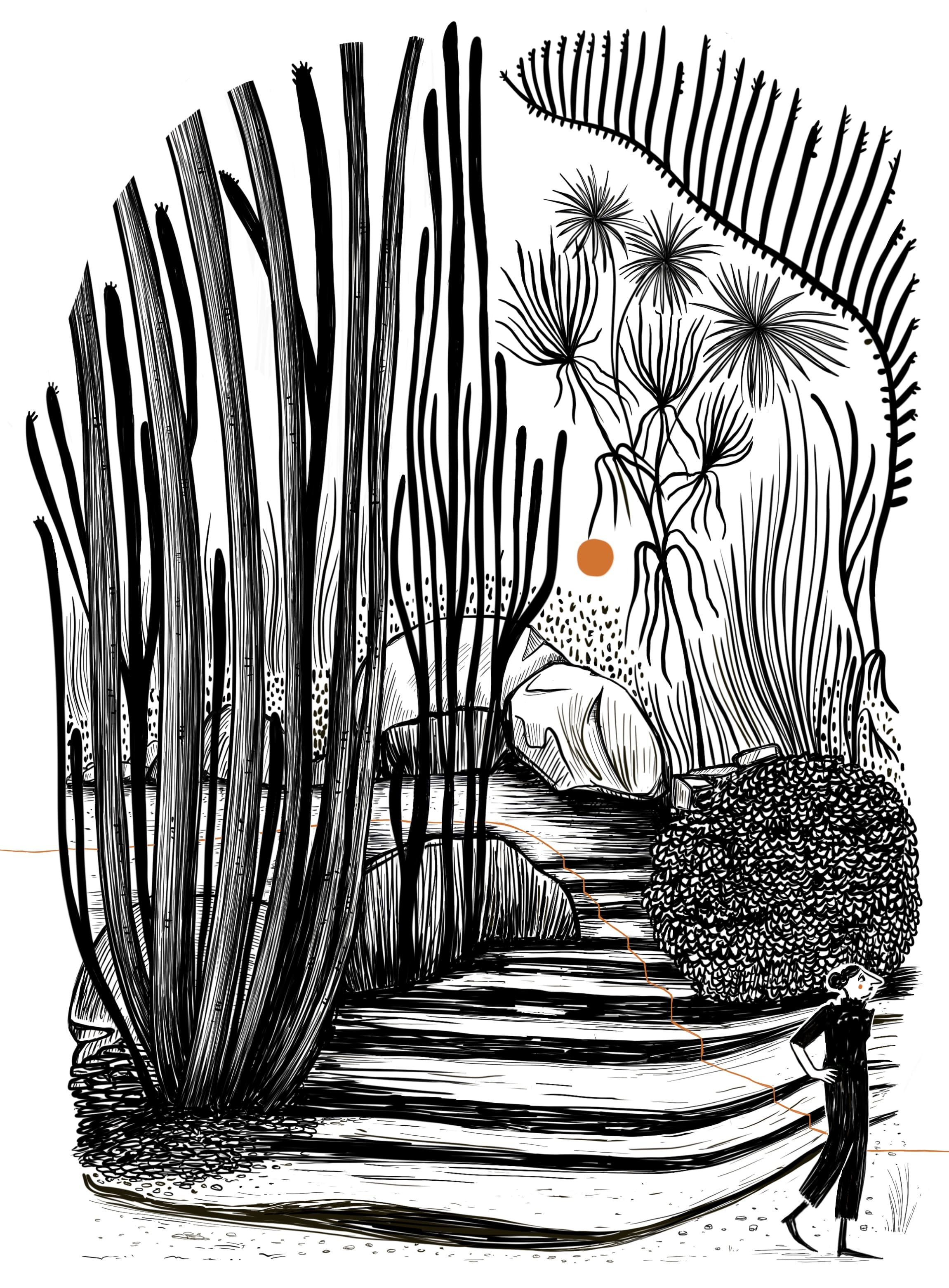 illustration forêt personnage en noir
