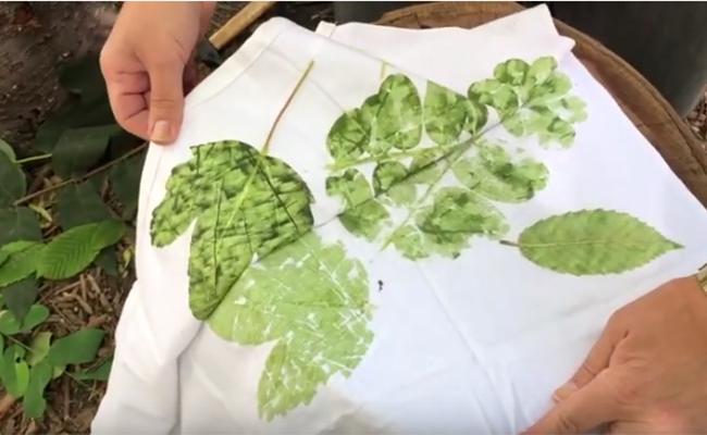 des feuilles teintes sur un tissu