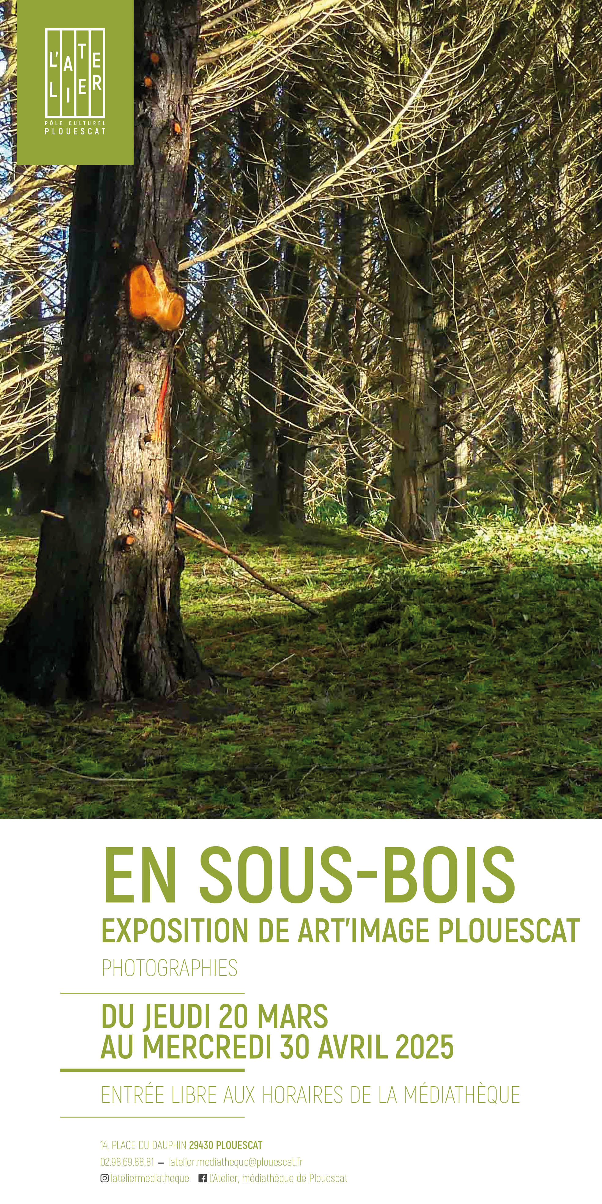 Affiche de l'exposition "En sous bois" de l'association Art Image Plouescat