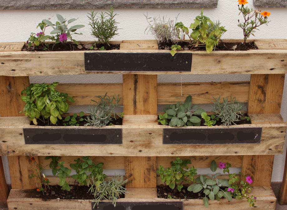 Jardinière en palettes avec plantes dedans
