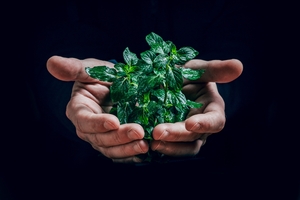 biodiversité