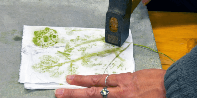 empreintes vegetales