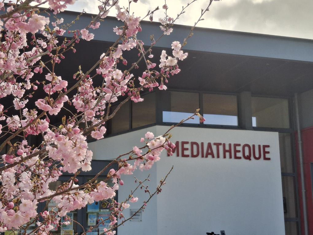 vue d'une médiathèque avec arbre en fleurs
