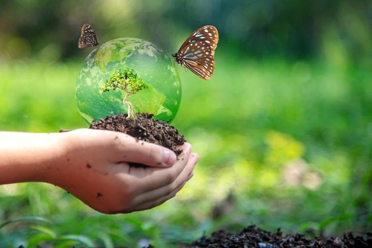 affiche biodiversité enfant avec bulle de nature et papillon sur sa main